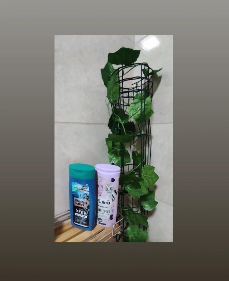 קראלג'בו Apartmani S - Dsn מראה חיצוני תמונה