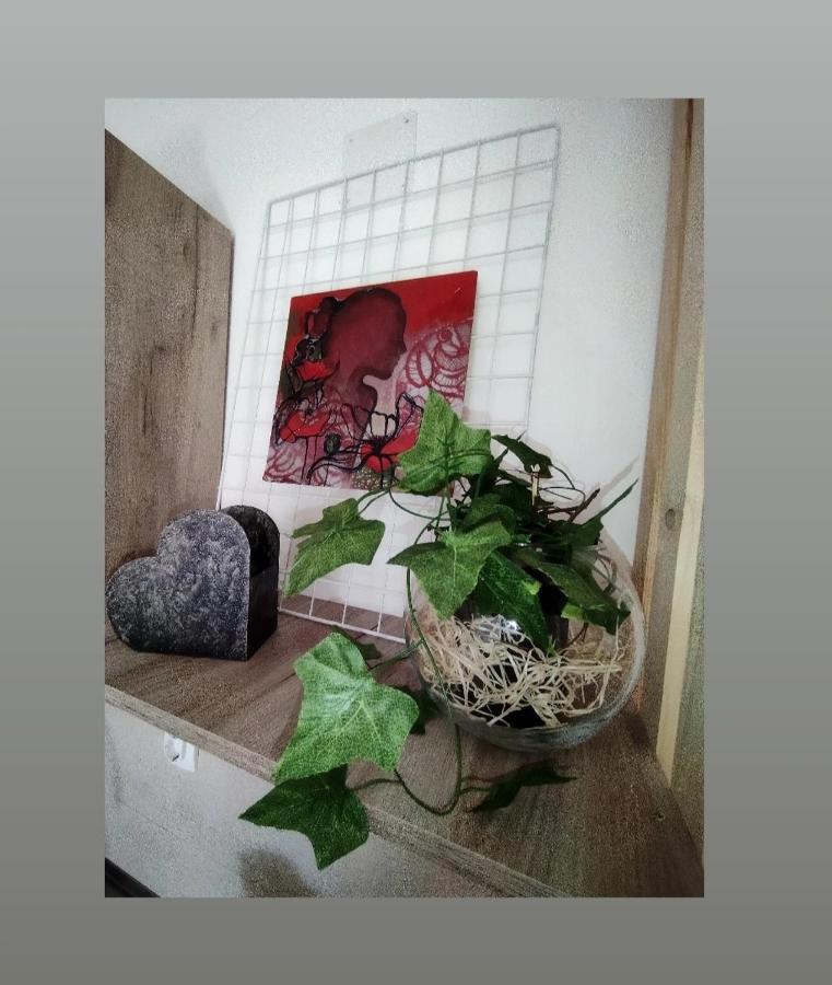 קראלג'בו Apartmani S - Dsn מראה חיצוני תמונה